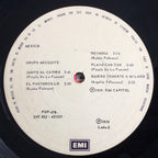 Grupo Mezquite - Cumbia Disco LP